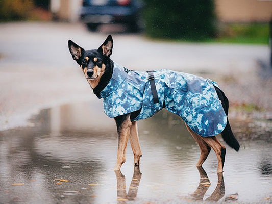 Paikka Visibility Raincoat