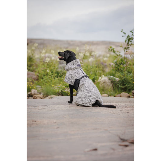 PAIKKA REGNFRAKKE 2.0