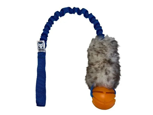 FENRIZ AKTIV BUNGEE M. FÅRESKIND OG BOLD