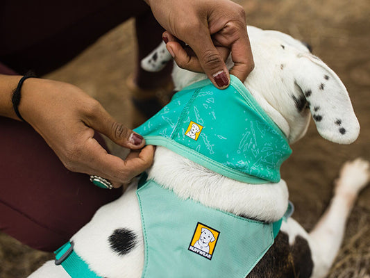 RUFFWEAR SWAMP COOLER NECK