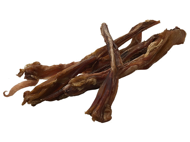 Tikki Horses Achilles tendons