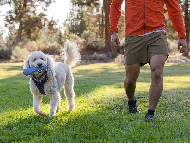 Ruffwear Gourdo