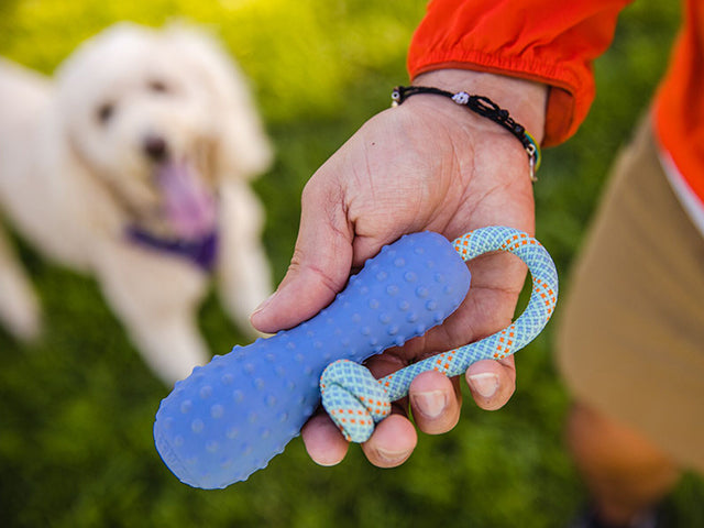 Ruffwear Gourdo