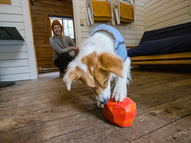 Ruffwear Gnawt-a-Rock