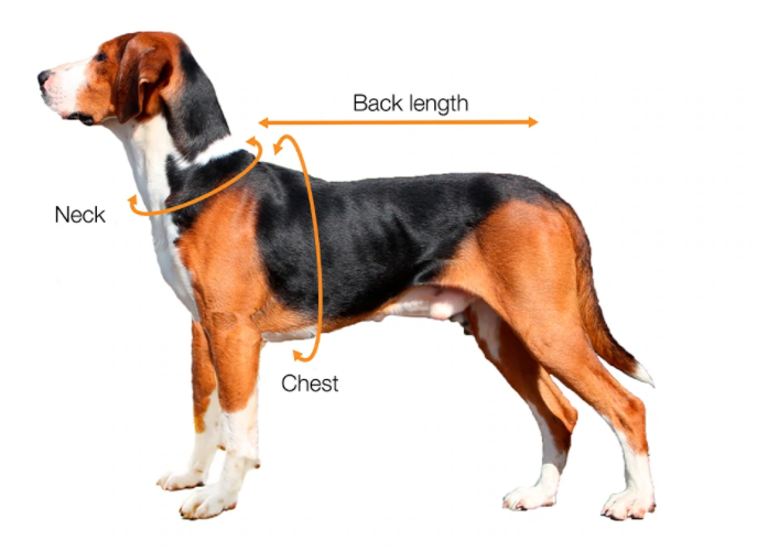 Paikka Visibility Regnfrakke