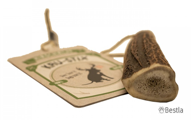 Tikki Antlers