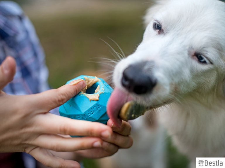 RUFFWEAR GNAWT-A-CONE