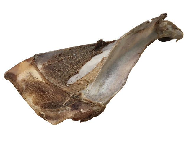 TIKKI DEER SHOULDER BLADE