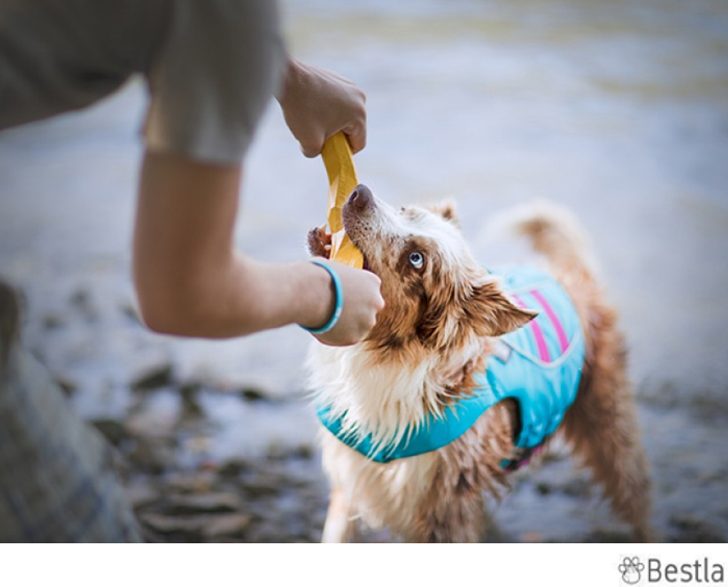 Ruffwear Gnawt-a-stick