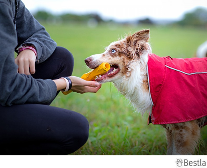 Ruffwear Gnawt-a-stick