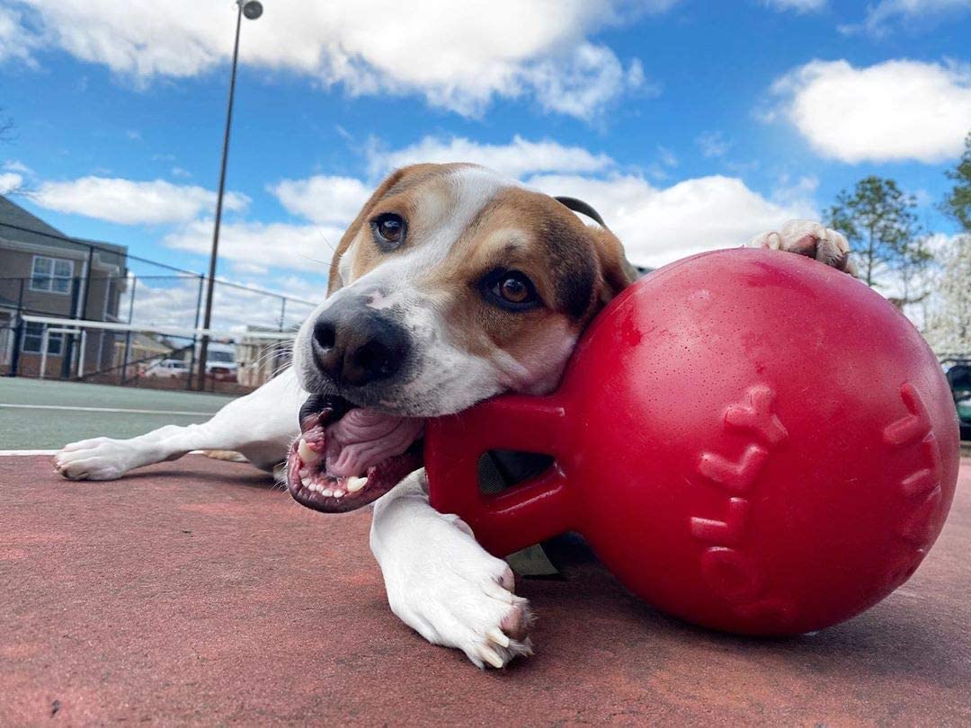 Jolly Pets Tug-n-Toss Ball