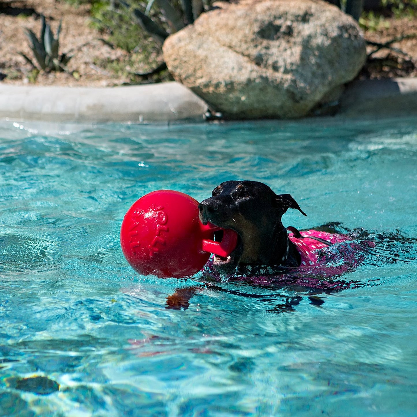 Jolly Pets Tug-n-Toss Ball