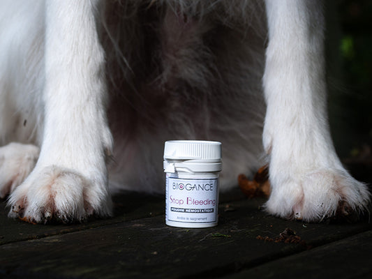 BIOGANCE STOP BLEEDING