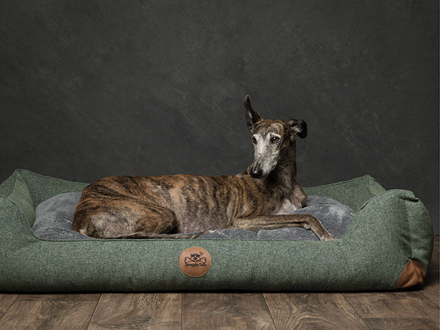 SWAGGIN TAILS SÖMNIG DOG BED