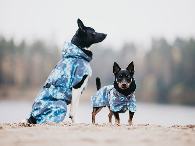 Paikka Visibility Raincoat