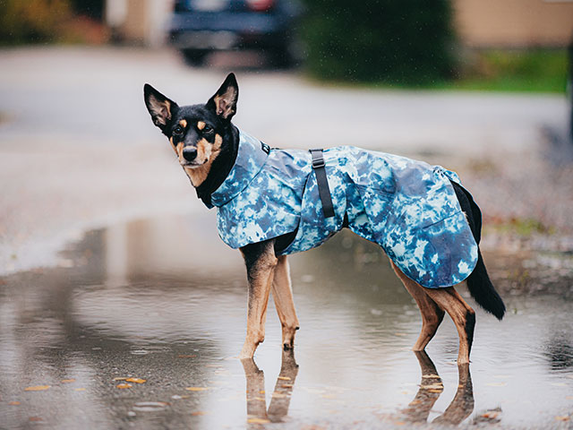 Paikka Visibility Raincoat