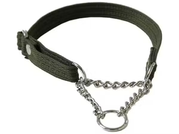 Fenriz Necklace w. Chain 