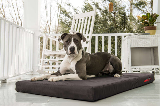 Ninja Bed Hundeseng med Memory Foam