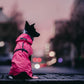 Paikka Visibility Raincoat