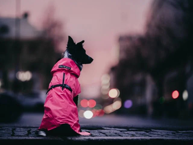 Paikka Visibility Raincoat