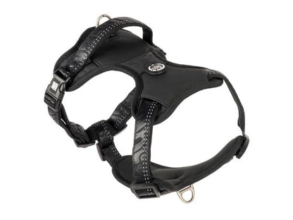 MAX &amp; MOLLY MATRIX 2.0 NEOPRENE SPORT HARNESS