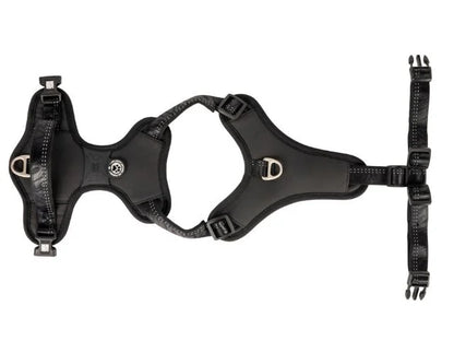 MAX &amp; MOLLY MATRIX 2.0 NEOPRENE SPORT HARNESS