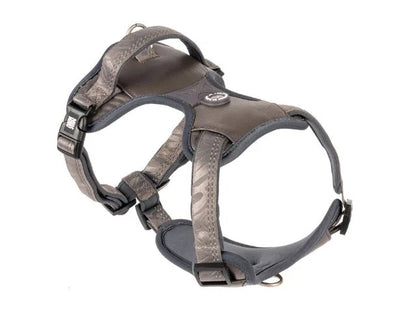 MAX &amp; MOLLY MATRIX 2.0 NEOPRENE SPORT HARNESS