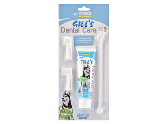 GILL'S DENTAL CARE KIT