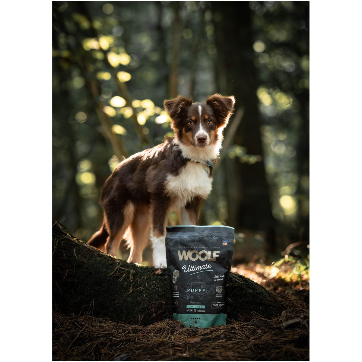 WOOLF ULTIMATE, PUPPY