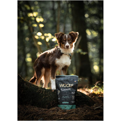 WOOLF ULTIMATE, PUPPY