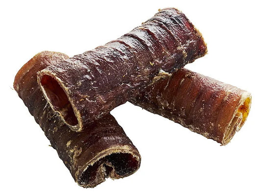 Hestestrube
