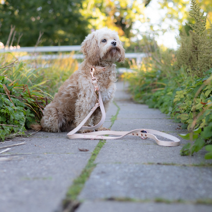 Walk'it Dressurline Kernelæder/Rosaguld