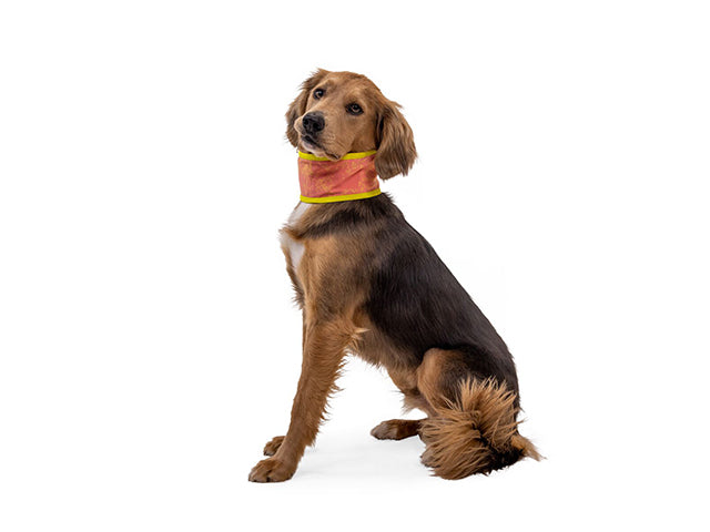 RUFFWEAR SWAMP COOLER NECK