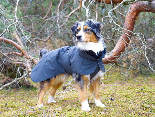 Paikka Recovery Winter Coat Dark