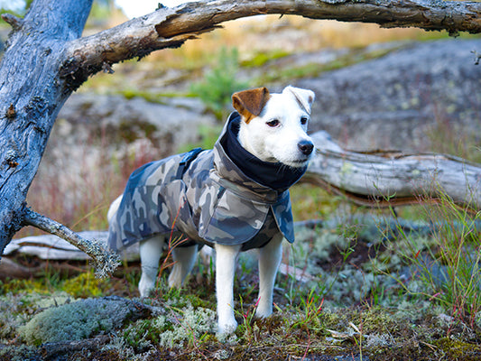 Paikka Recovery Winter Coat Camo
