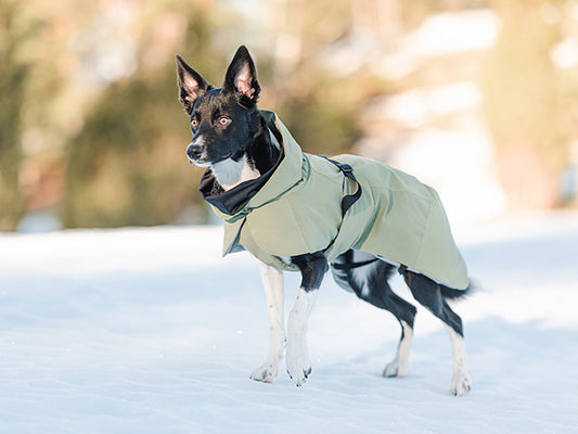 Paikka Recovery Winter Coat Green
