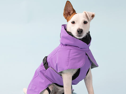 Paikka Recovery Winter Coat Purple