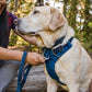 Ruffwear Front Range Sele