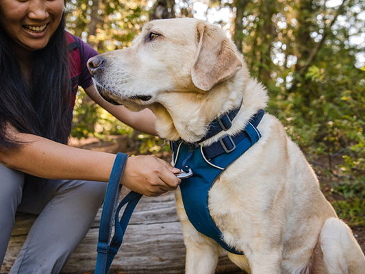 Ruffwear Front Range Sele