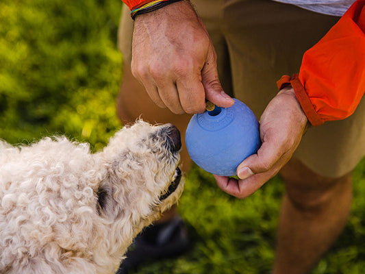Ruffwear Huckama