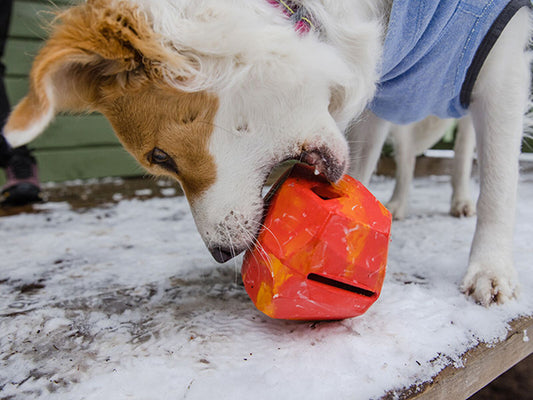 Ruffwear Gnawt-a-Rock