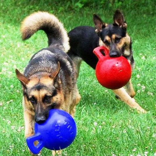 Jolly Pets Tug-n-Toss Ball