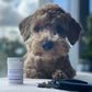 BIOGANCE STOP BLEEDING