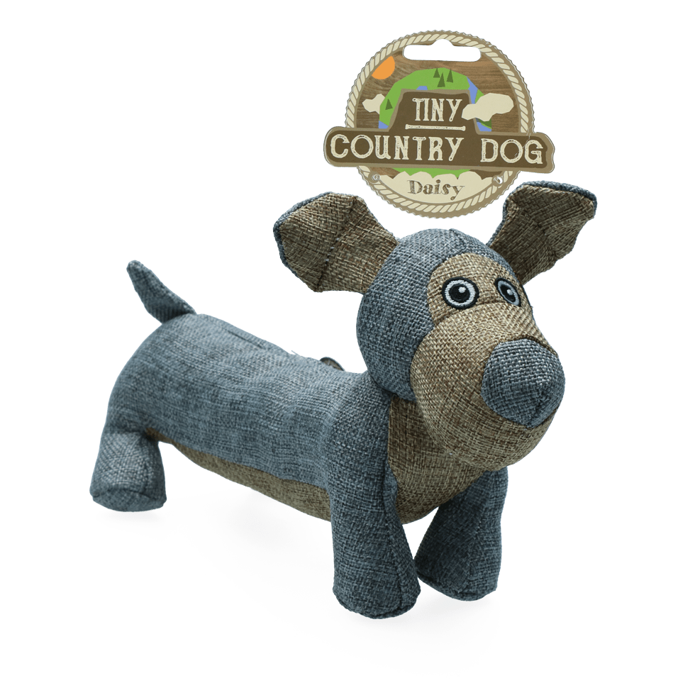 Country Dog Tiny Daisy