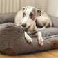 SWAGGIN TAILS SÖMNIG HUNDESENG